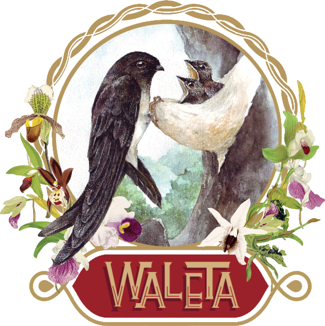 WALETA ASIA JAYA Logo